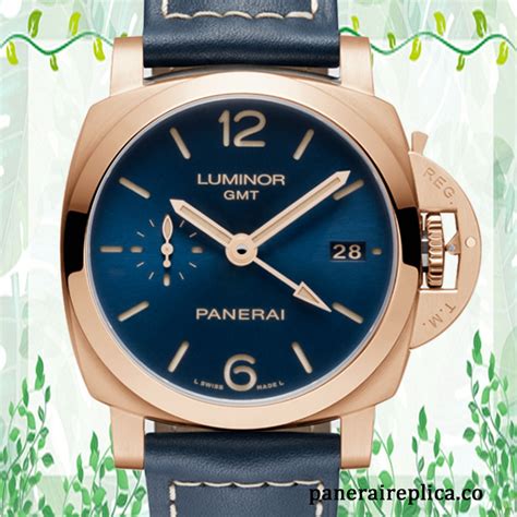pam00688